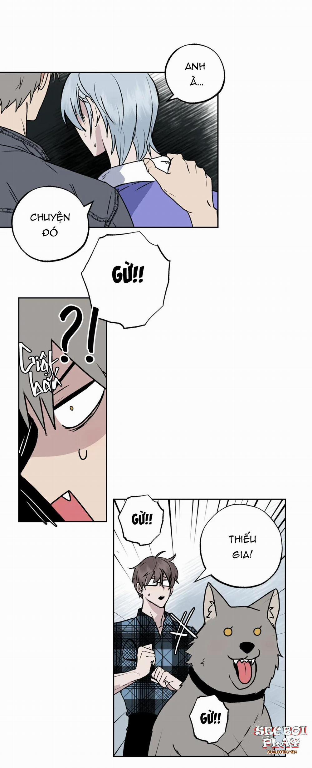 NEW ROMANCE 7 trang 3