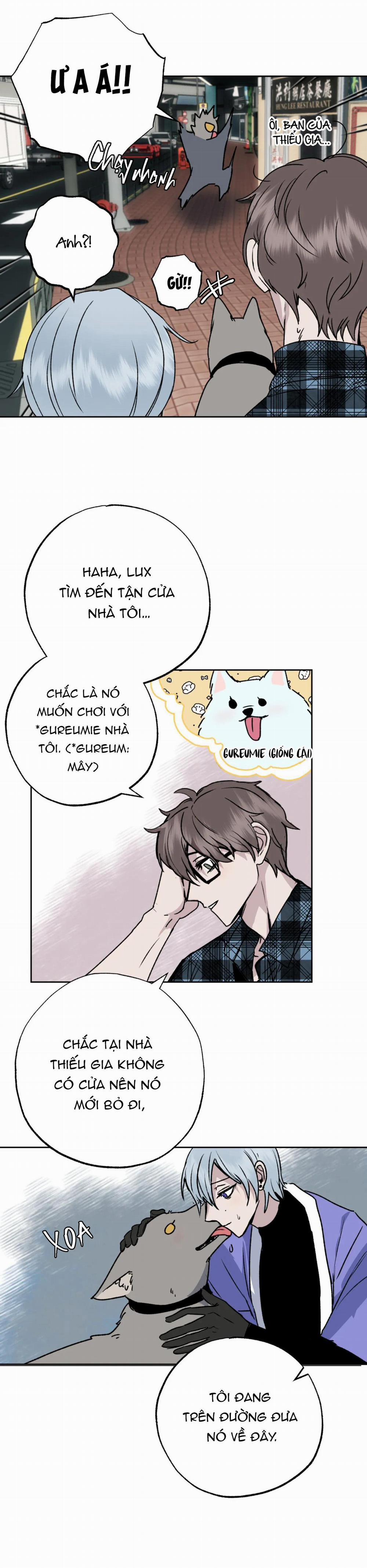 NEW ROMANCE 7 trang 4