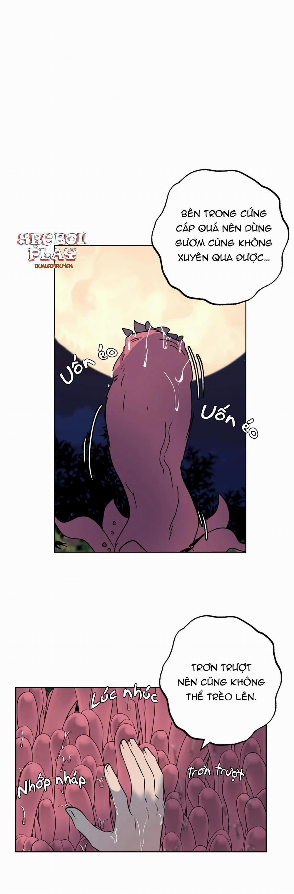 NEW ROMANCE 8 trang 0