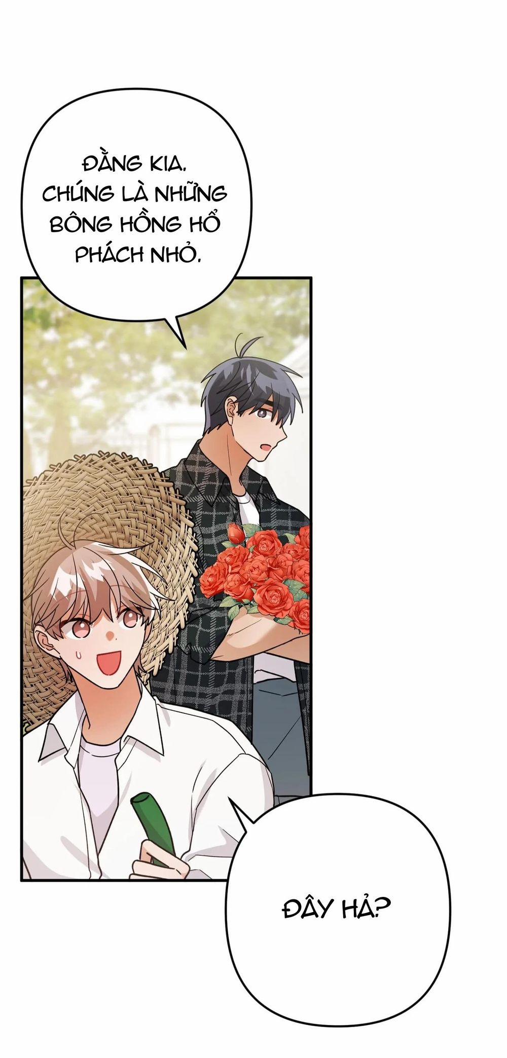 Ngài Do Ở Biệt Thự Hoa Hồng 8 trang 30