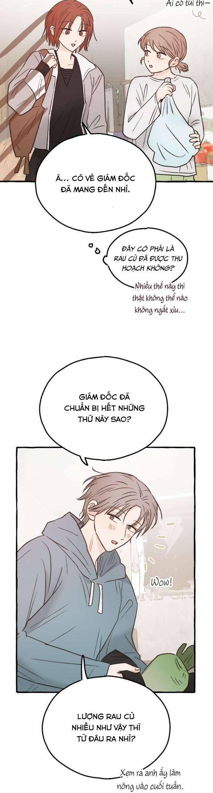 Ngài Giám Đốc Giữa Rừng Sâu 22 trang 17