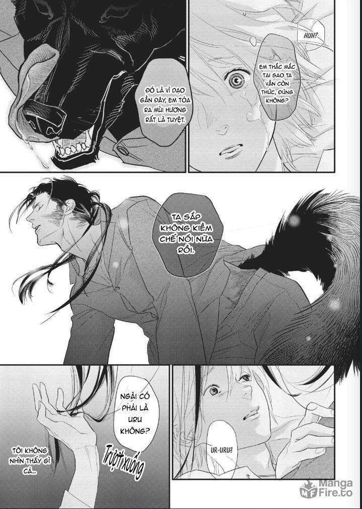 Ngài Sói, Không ăn Em à? 5 trang 24