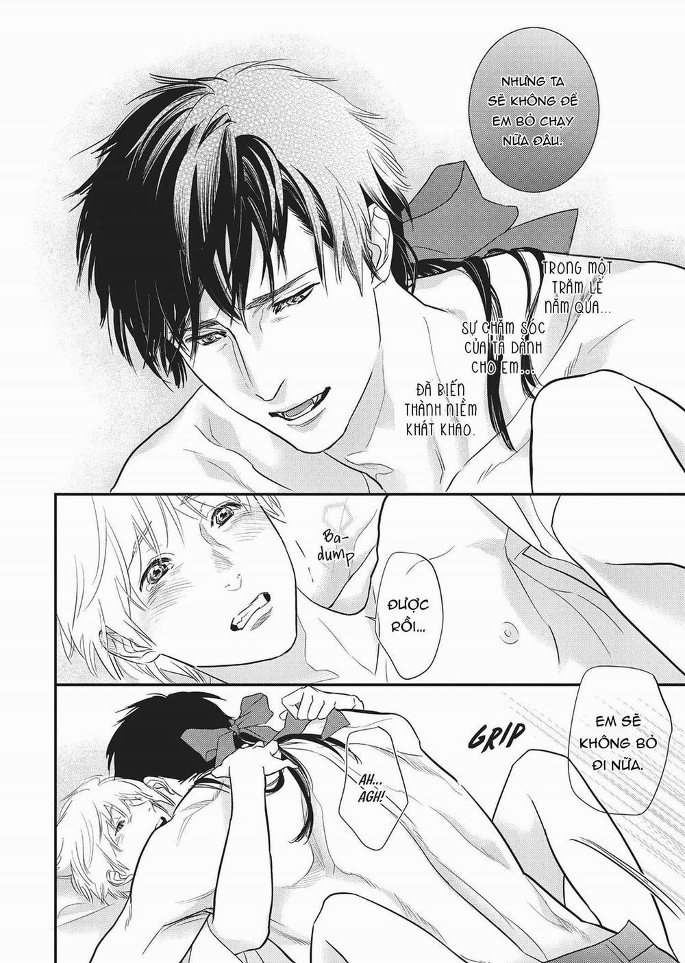 Ngài Sói, Không ăn Em à? 6.5 trang 13