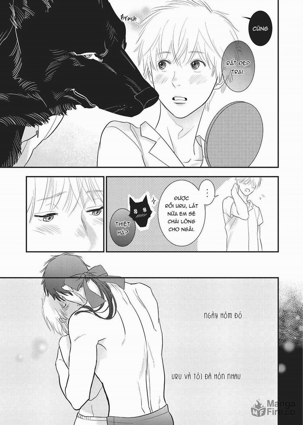 Ngài Sói, Không ăn Em à? 6.5 trang 2