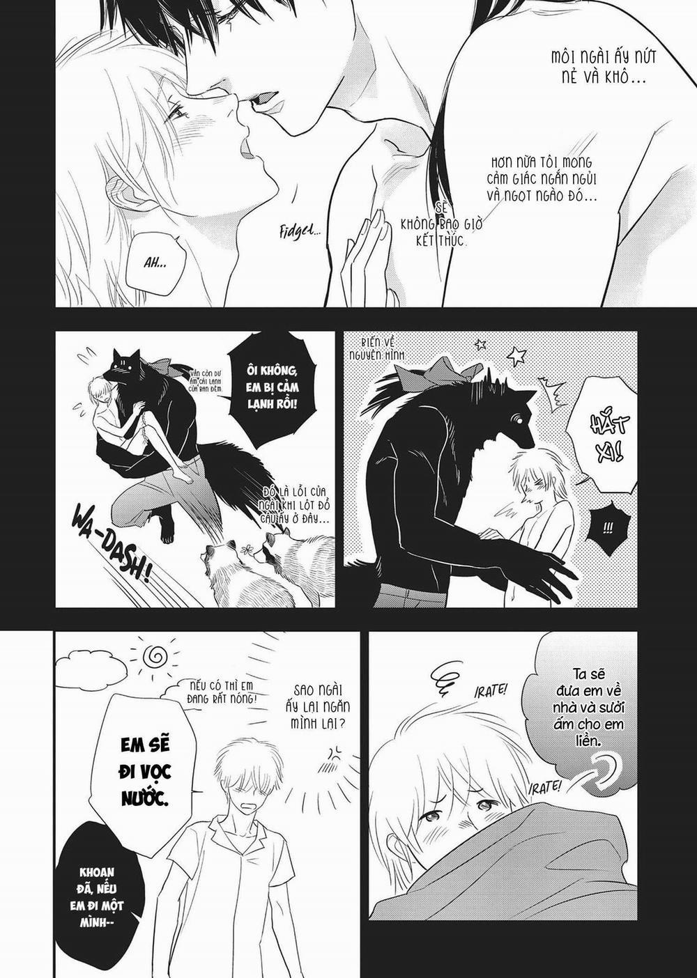 Ngài Sói, Không ăn Em à? 6.5 trang 3