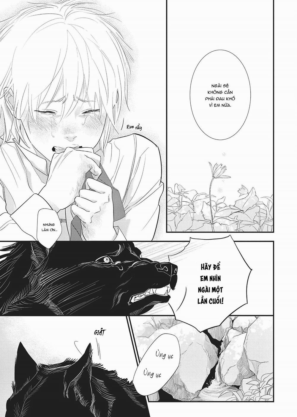 Ngài Sói, Không ăn Em à? 6 trang 22