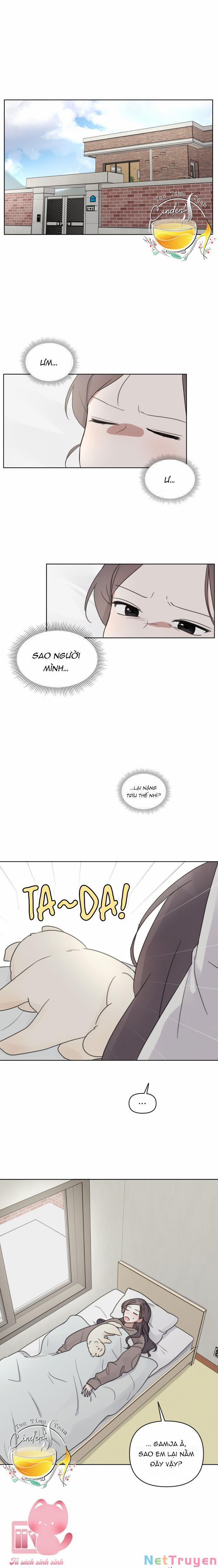 Ngắm Nhìn Điều Tuyệt Vời Nhất 29 trang 1