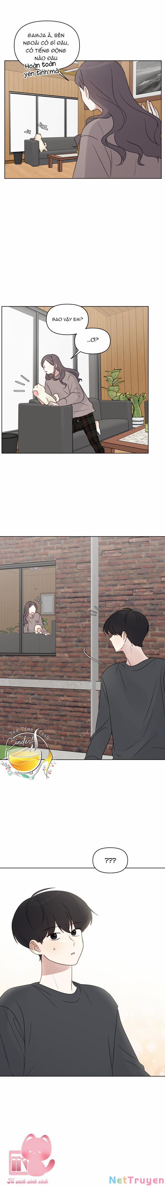 Ngắm Nhìn Điều Tuyệt Vời Nhất 29 trang 15