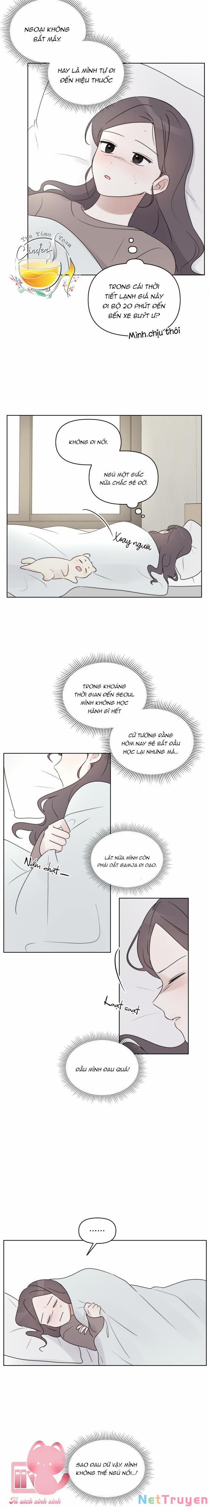 Ngắm Nhìn Điều Tuyệt Vời Nhất 29 trang 5