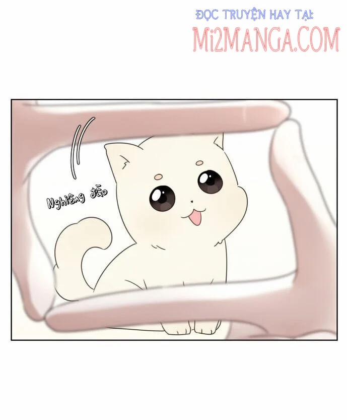 Ngắm Nhìn Điều Tuyệt Vời Nhất 4.5 trang 41