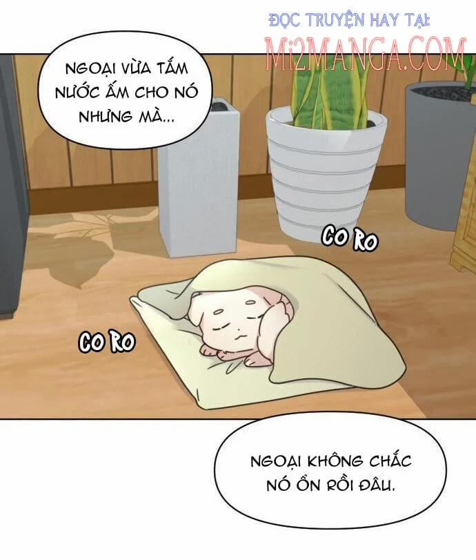 Ngắm Nhìn Điều Tuyệt Vời Nhất 4 trang 1