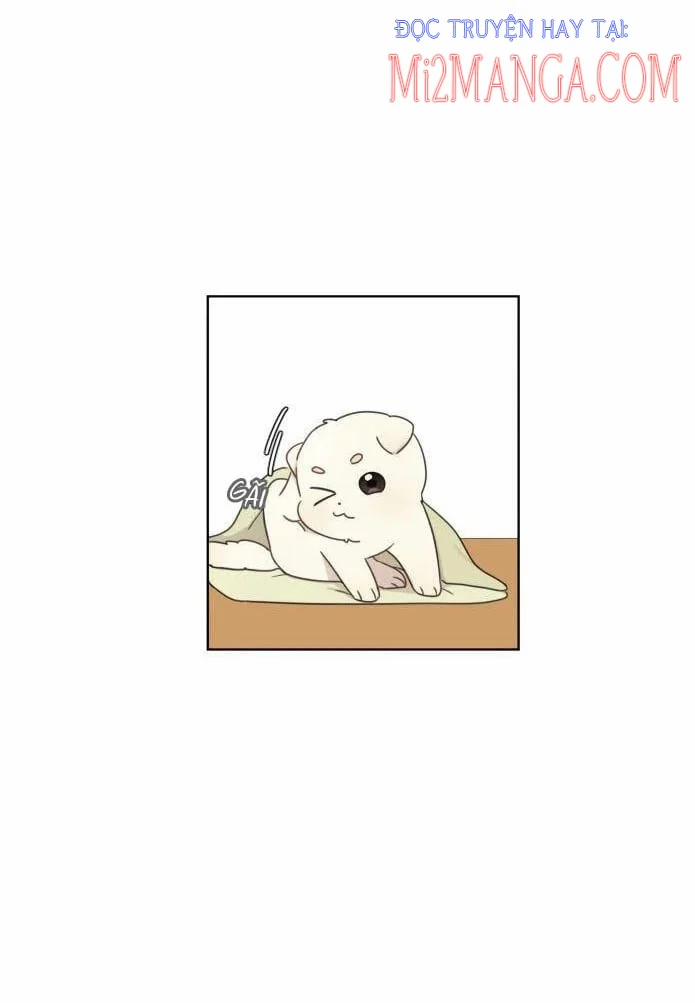 Ngắm Nhìn Điều Tuyệt Vời Nhất 4 trang 29