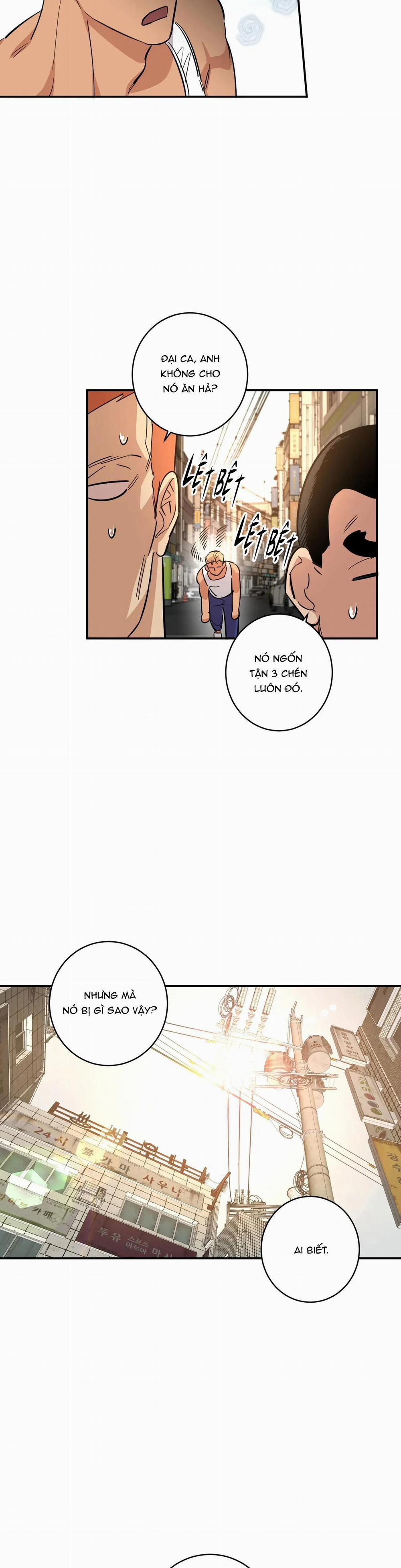 Ngàn Năm Có Một 13 trang 19