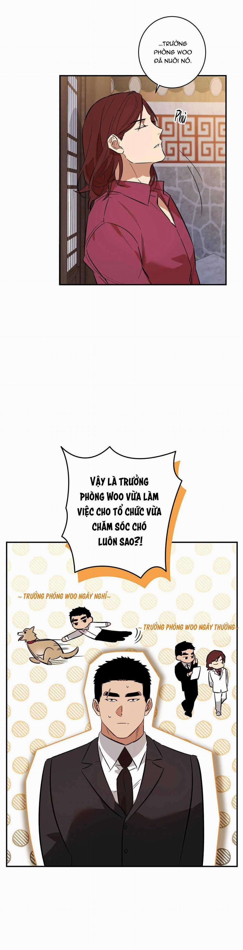 Ngàn Năm Có Một 26 trang 4