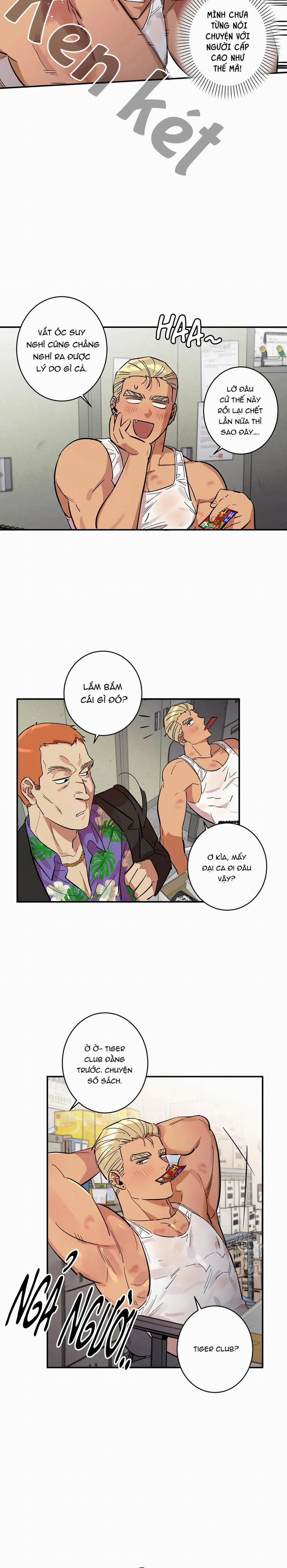 Ngàn Năm Có Một 4 trang 11