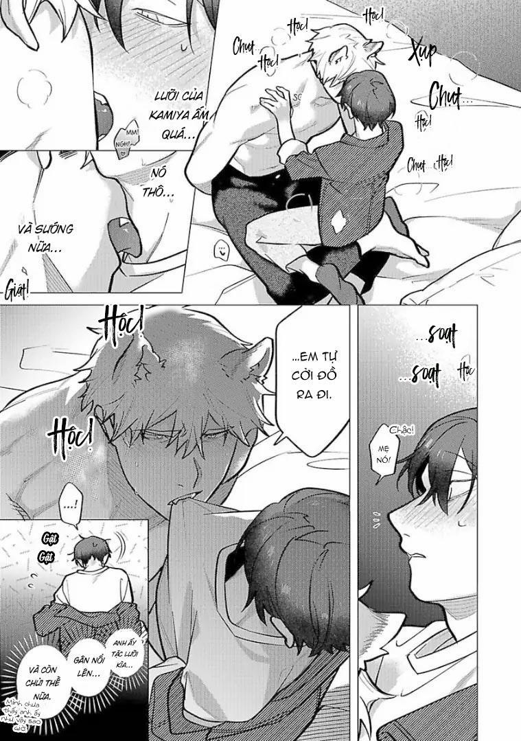 Ngấu Nghiến Tôi Và Cho Tôi Biết Thế Nào Là Yêu 6 trang 12