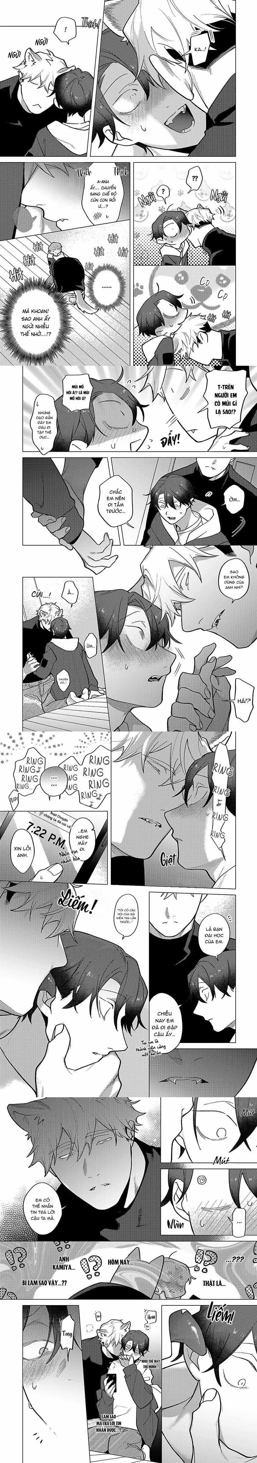 Ngấu Nghiến Tôi Và Cho Tôi Biết Thế Nào Là Yêu 8 trang 4