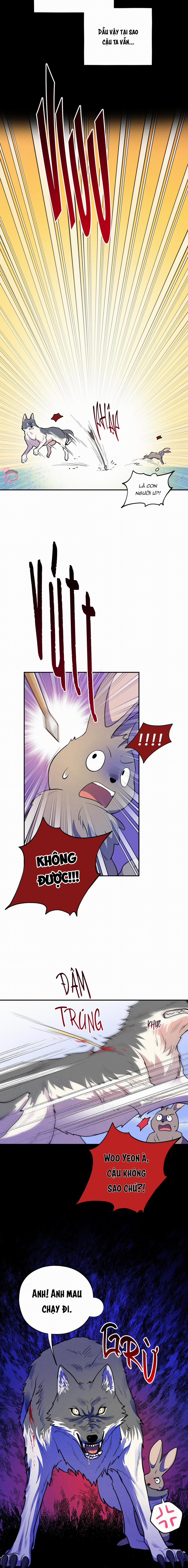 Ngẫu Nhiên Hay Tình Cờ 2 trang 11