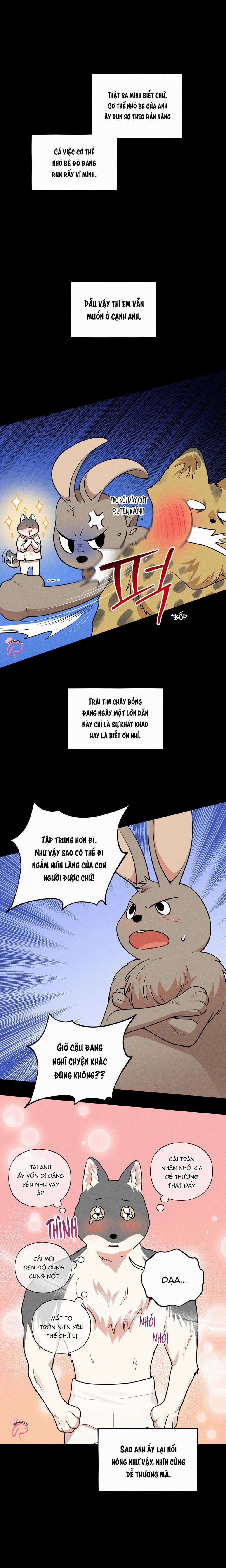 Ngẫu Nhiên Hay Tình Cờ 2 trang 5