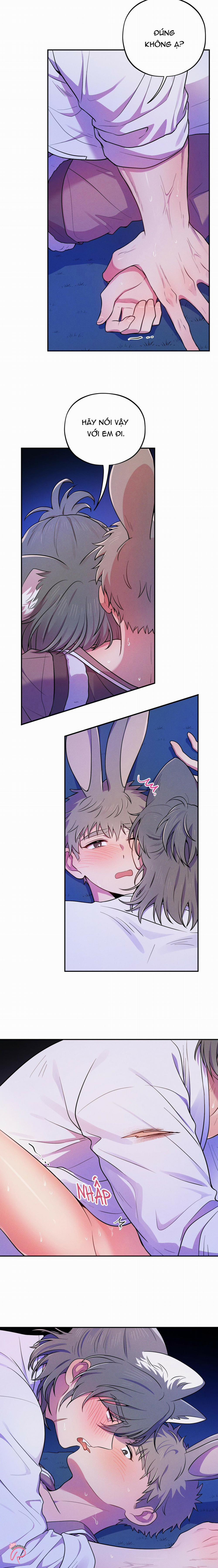 Ngẫu Nhiên Hay Tình Cờ 4 trang 12