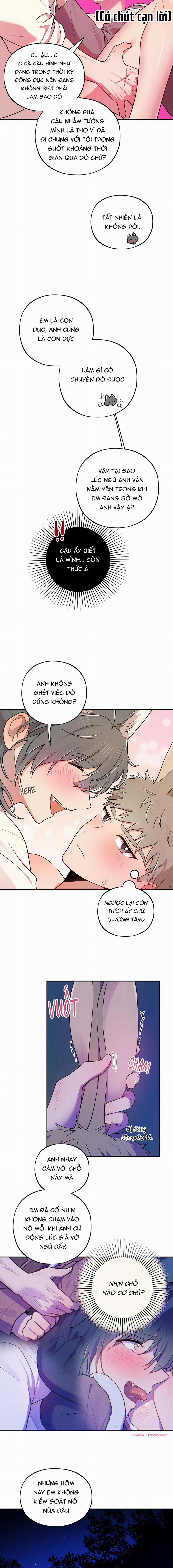 Ngẫu Nhiên Hay Tình Cờ 4 trang 3