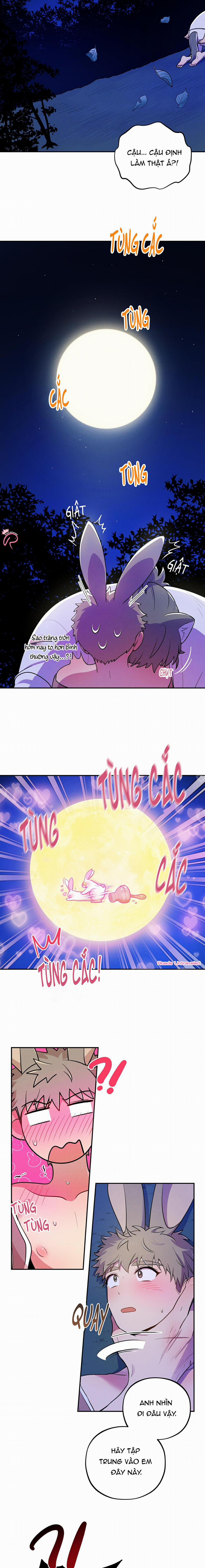 Ngẫu Nhiên Hay Tình Cờ 4 trang 4