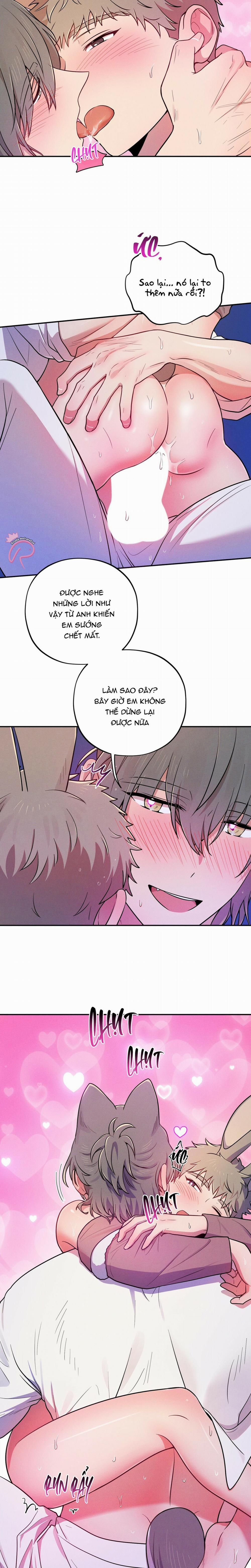 Ngẫu Nhiên Hay Tình Cờ 5 trang 9