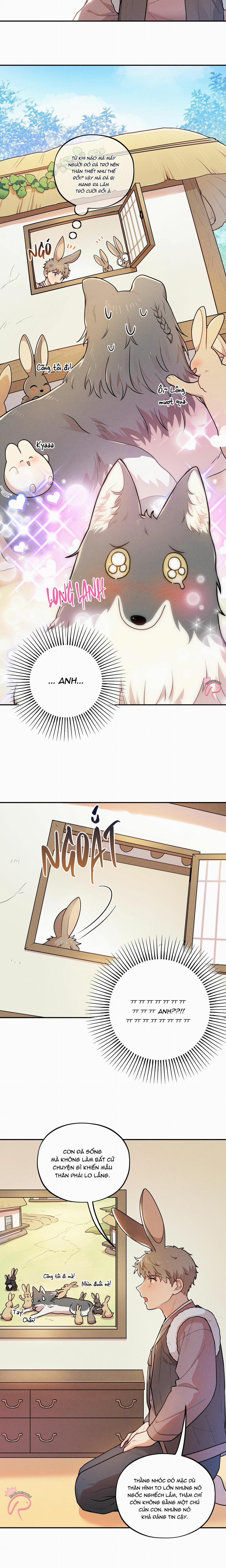 Ngẫu Nhiên Hay Tình Cờ 7 trang 11