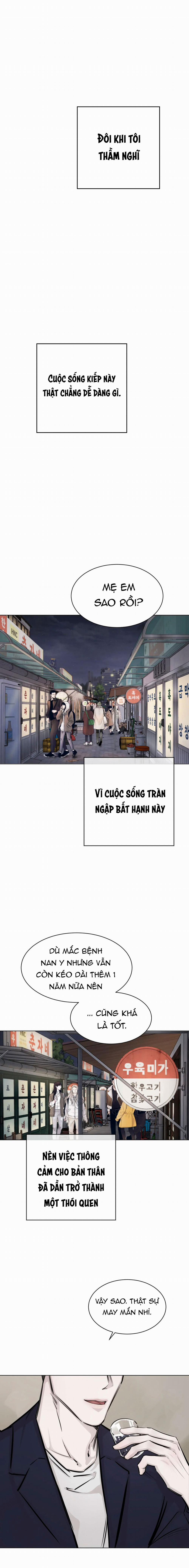 Ngẫu Nhiên Trở Thành Vận Mệnh 1 trang 0