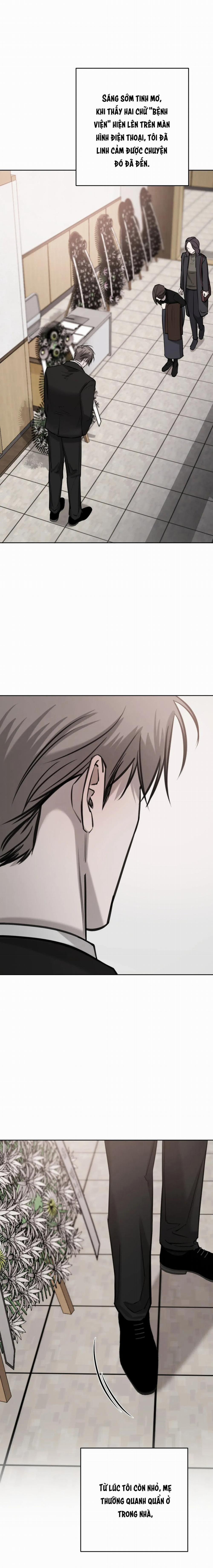 Ngẫu Nhiên Trở Thành Vận Mệnh 66 trang 6