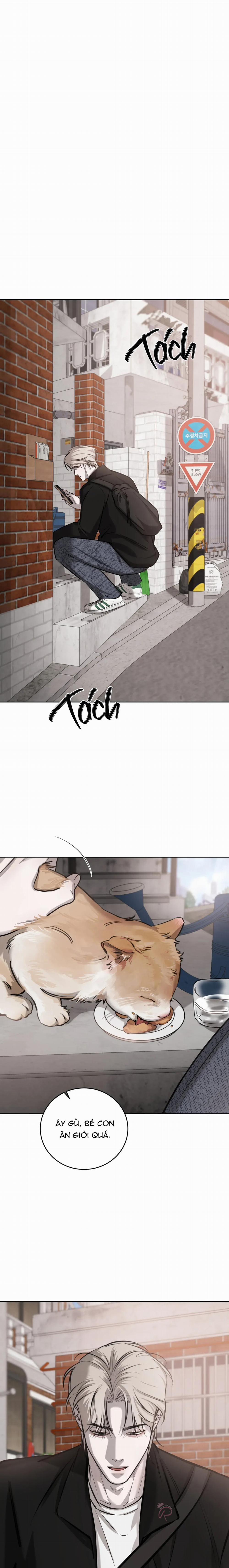 Ngẫu Nhiên Trở Thành Vận Mệnh 71 trang 0