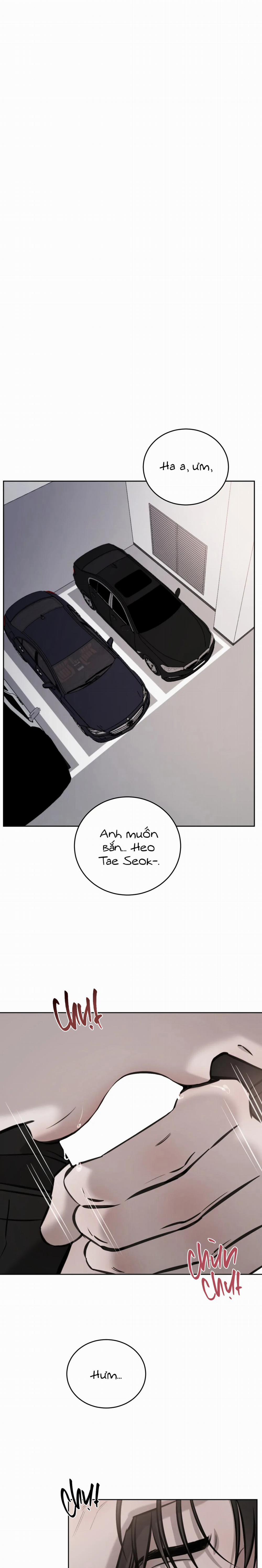 Ngẫu Nhiên Trở Thành Vận Mệnh 76 trang 0