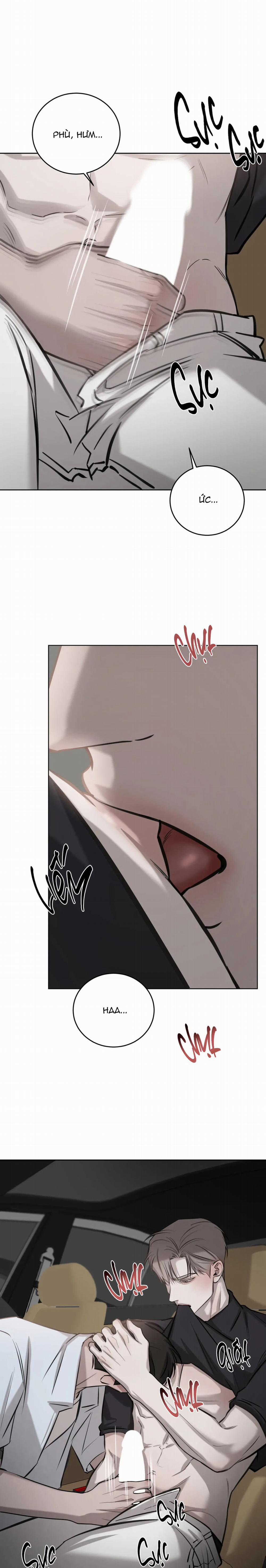 Ngẫu Nhiên Trở Thành Vận Mệnh 76 trang 10