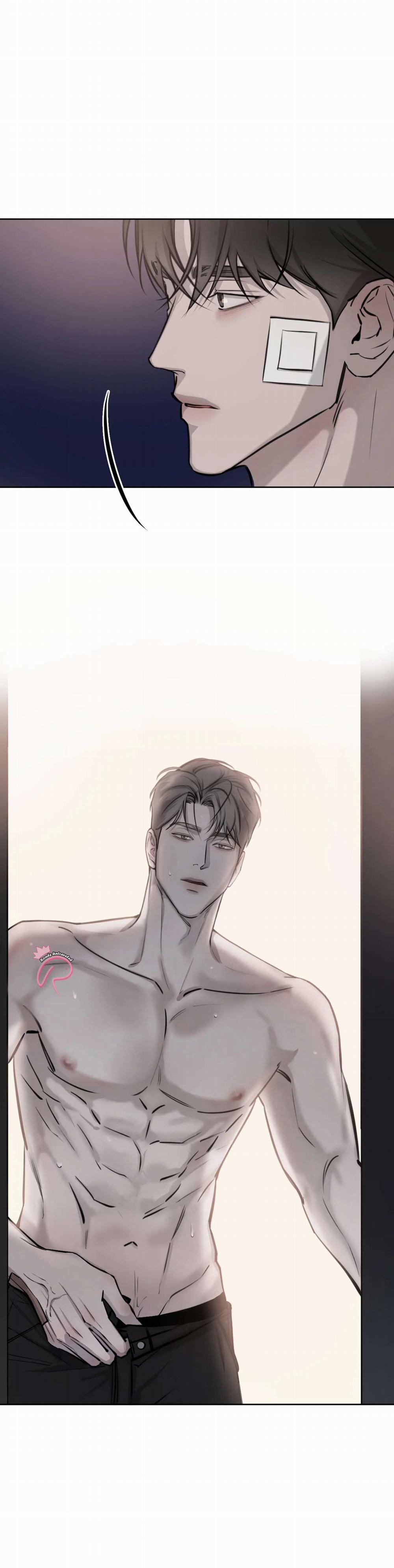 Ngẫu Nhiên Trở Thành Vận Mệnh 9 trang 11