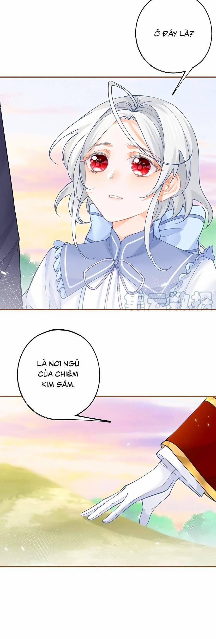 Ngày Nào Đó Trở Thành Công Chúa Tế Phẩm 104 trang 14