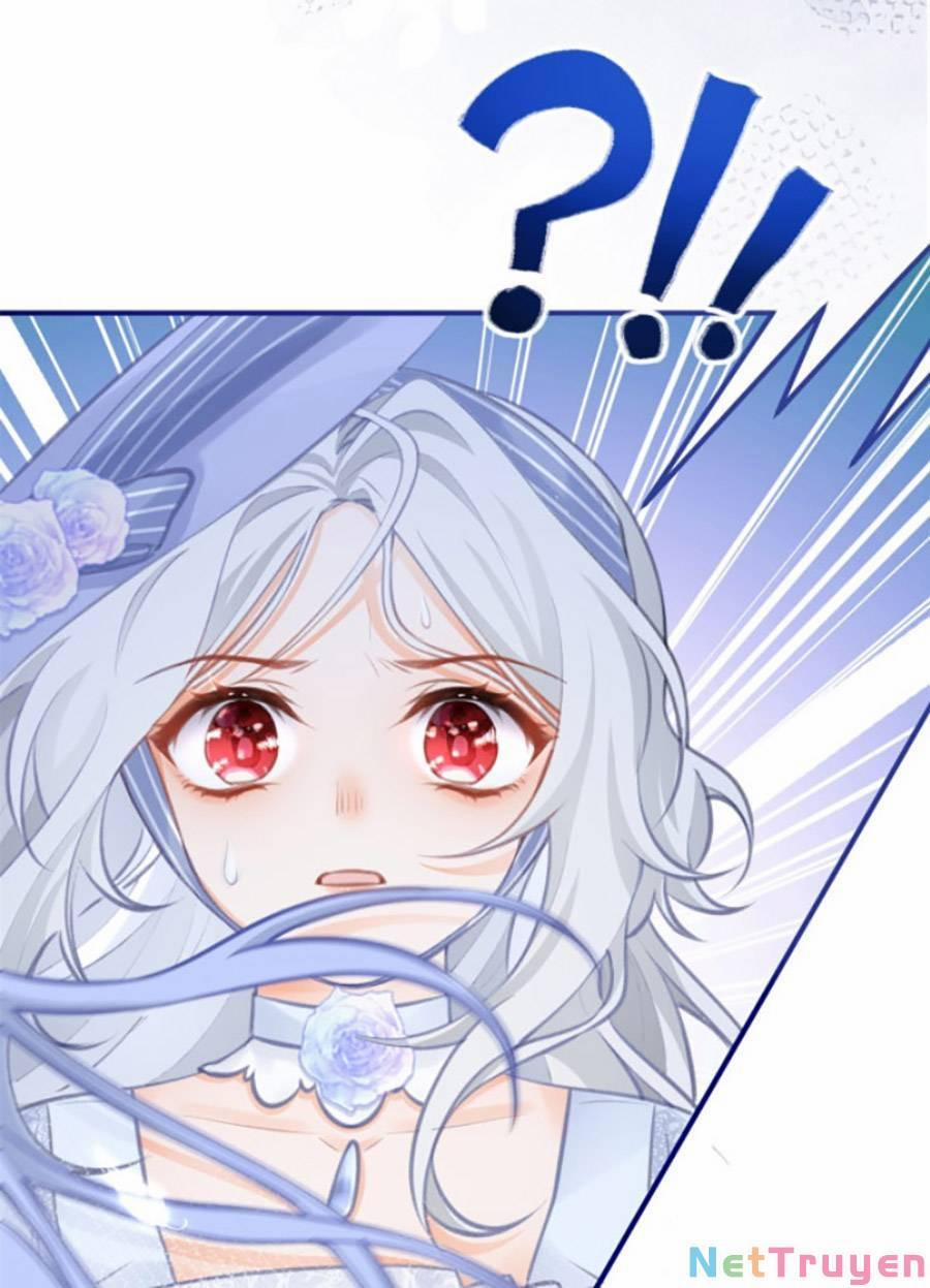 Ngày Nào Đó Trở Thành Công Chúa Tế Phẩm 11 trang 1