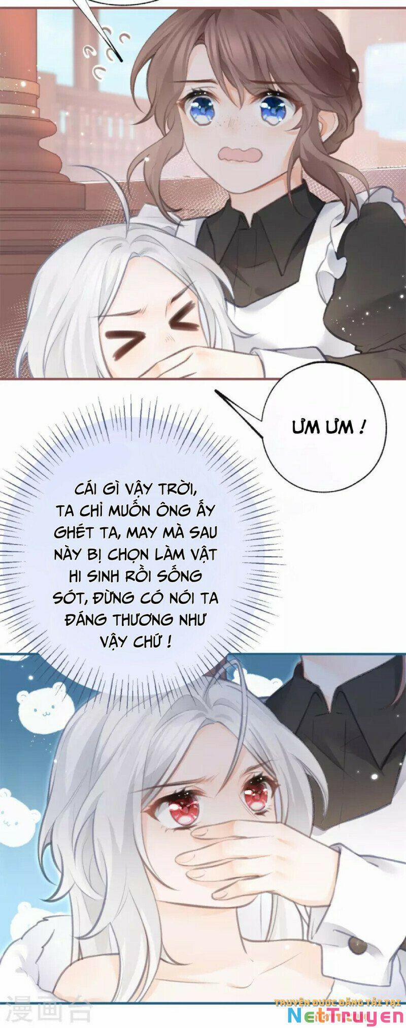 Ngày Nào Đó Trở Thành Công Chúa Tế Phẩm 12 trang 10