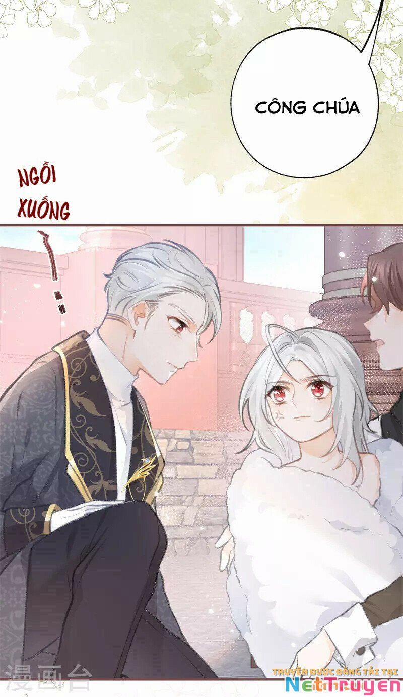 Ngày Nào Đó Trở Thành Công Chúa Tế Phẩm 12 trang 7