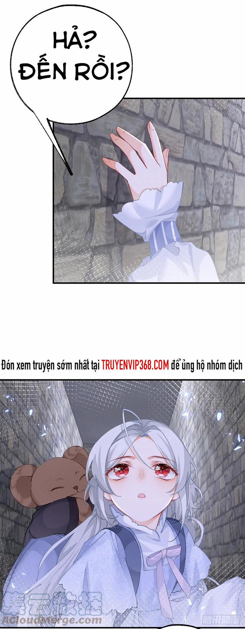 Ngày Nào Đó Trở Thành Công Chúa Tế Phẩm 35 trang 14