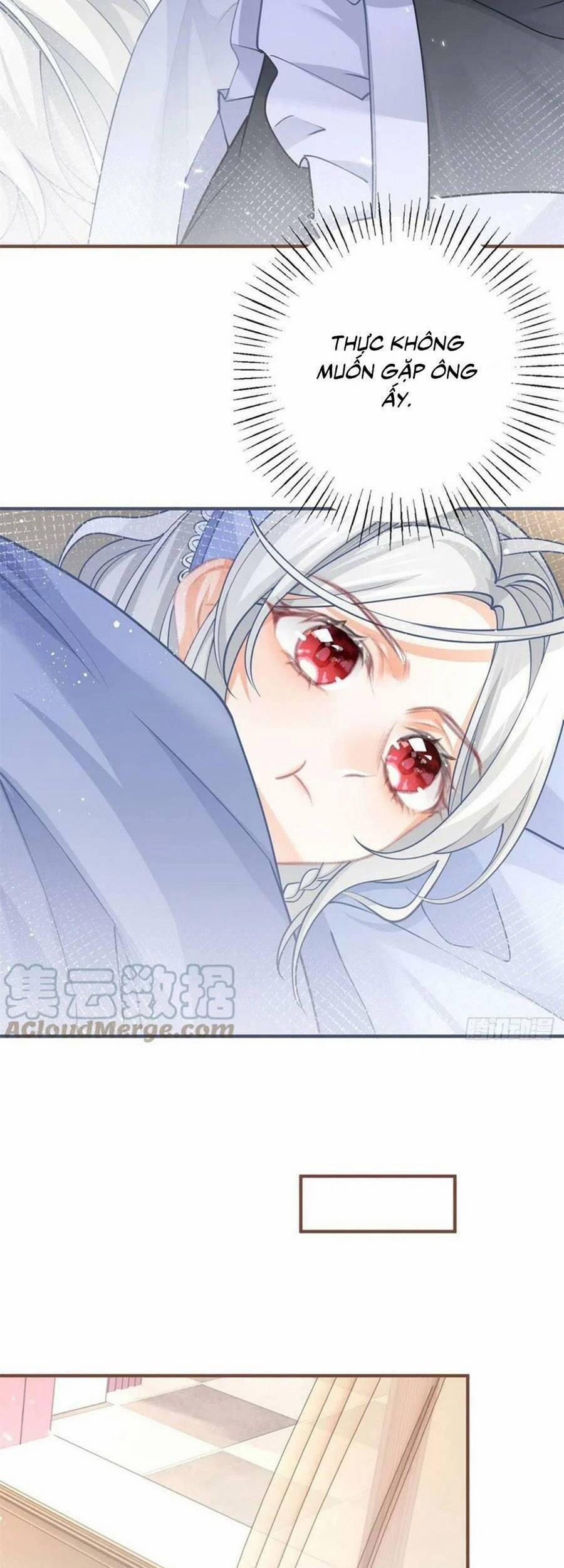 Ngày Nào Đó Trở Thành Công Chúa Tế Phẩm 54 trang 14