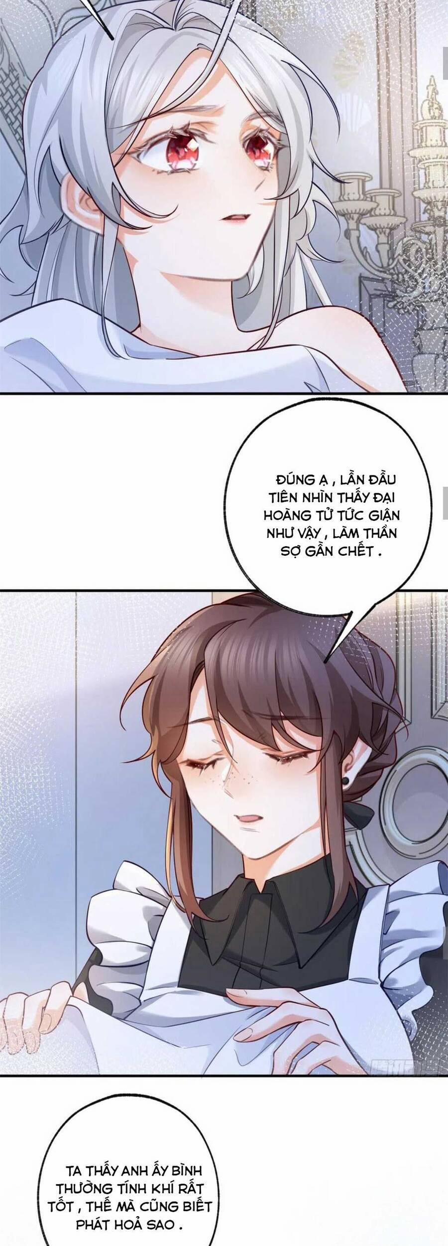 Ngày Nào Đó Trở Thành Công Chúa Tế Phẩm 71 trang 11