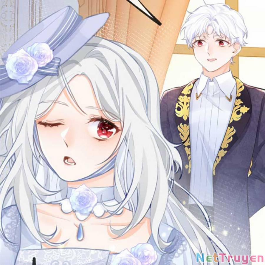 Ngày Nào Đó Trở Thành Công Chúa Tế Phẩm 8 trang 11