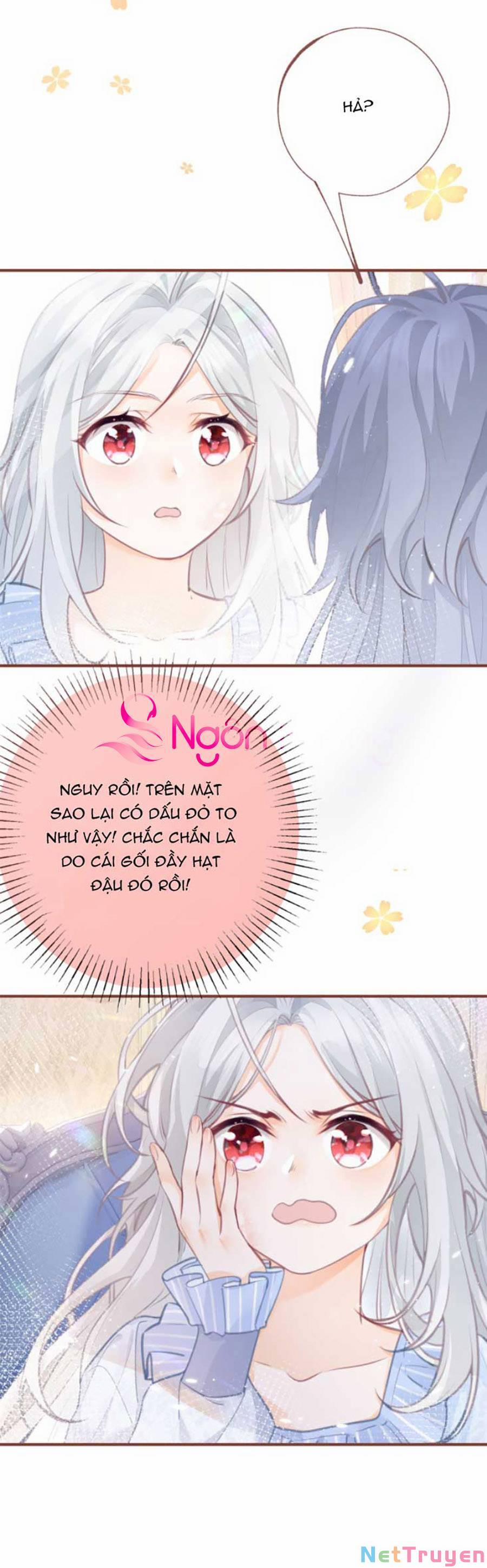 Ngày Nào Đó Trở Thành Công Chúa Tế Phẩm 8 trang 4