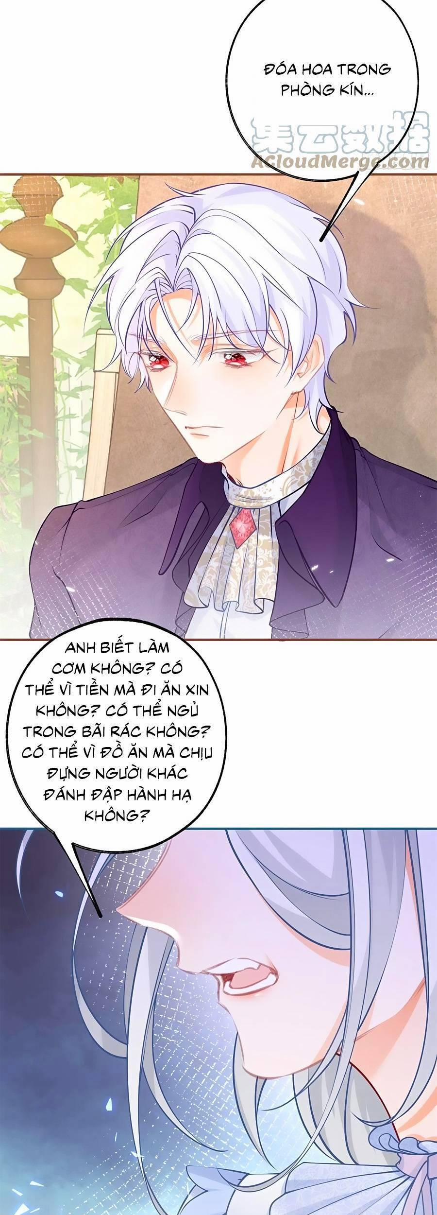 Ngày Nào Đó Trở Thành Công Chúa Tế Phẩm 82 trang 12