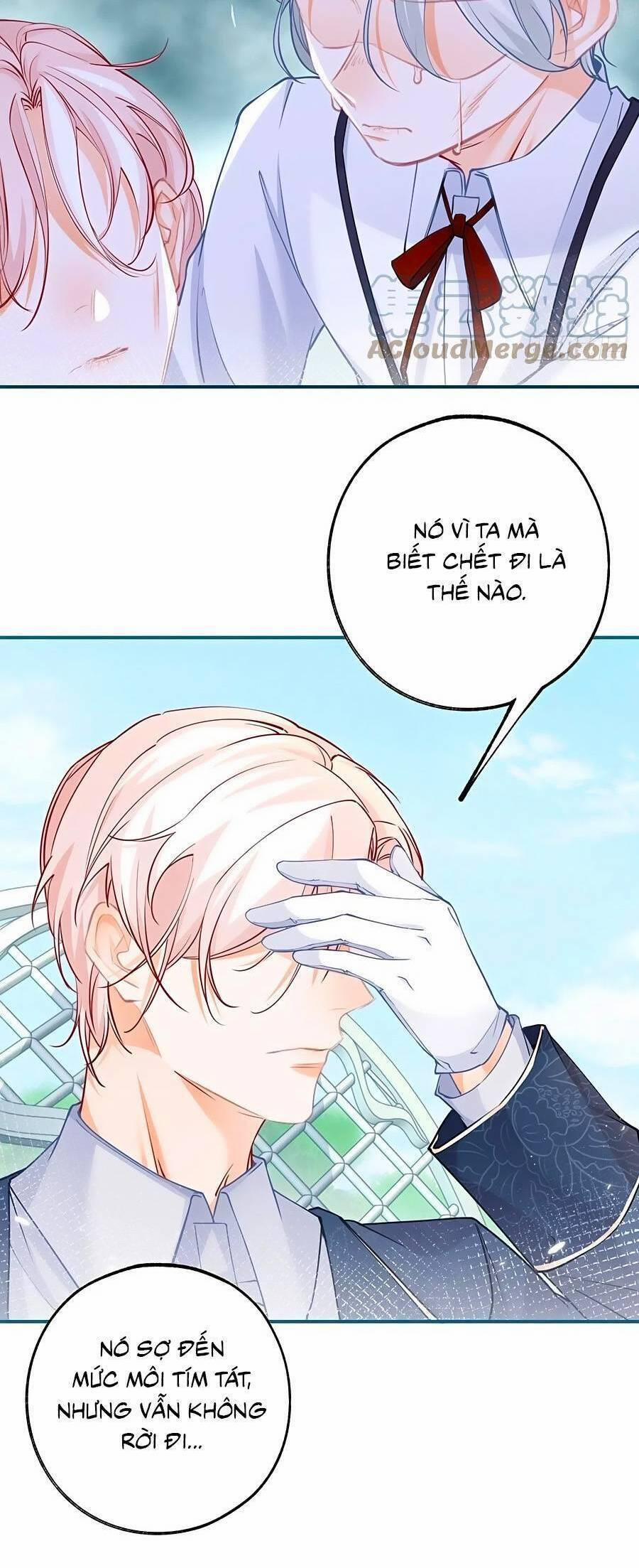 Ngày Nào Đó Trở Thành Công Chúa Tế Phẩm 98 trang 8