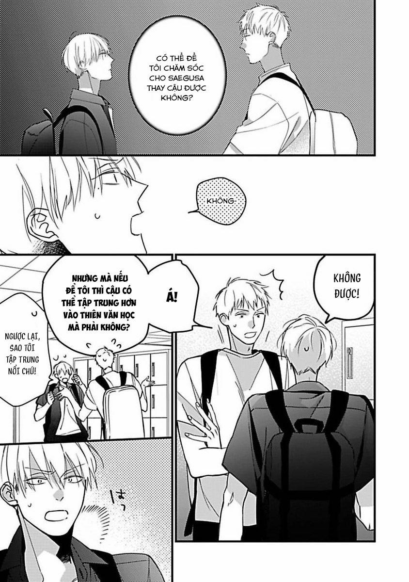 Ngày Xuân Ta Vẫn Còn Trẻ 12 trang 0