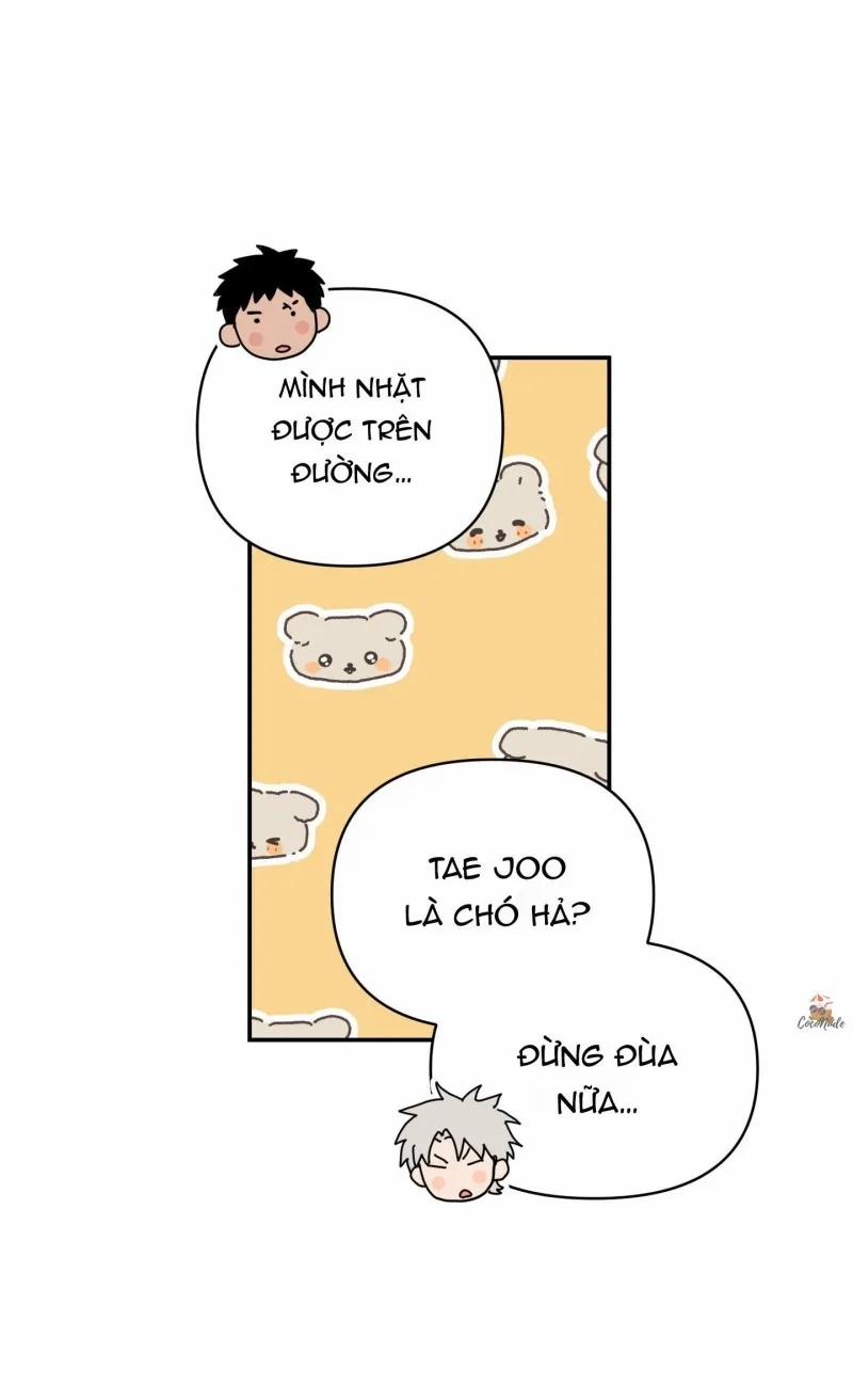 Nghe Nói Có Ma Trong Phòng CLB 11 trang 16