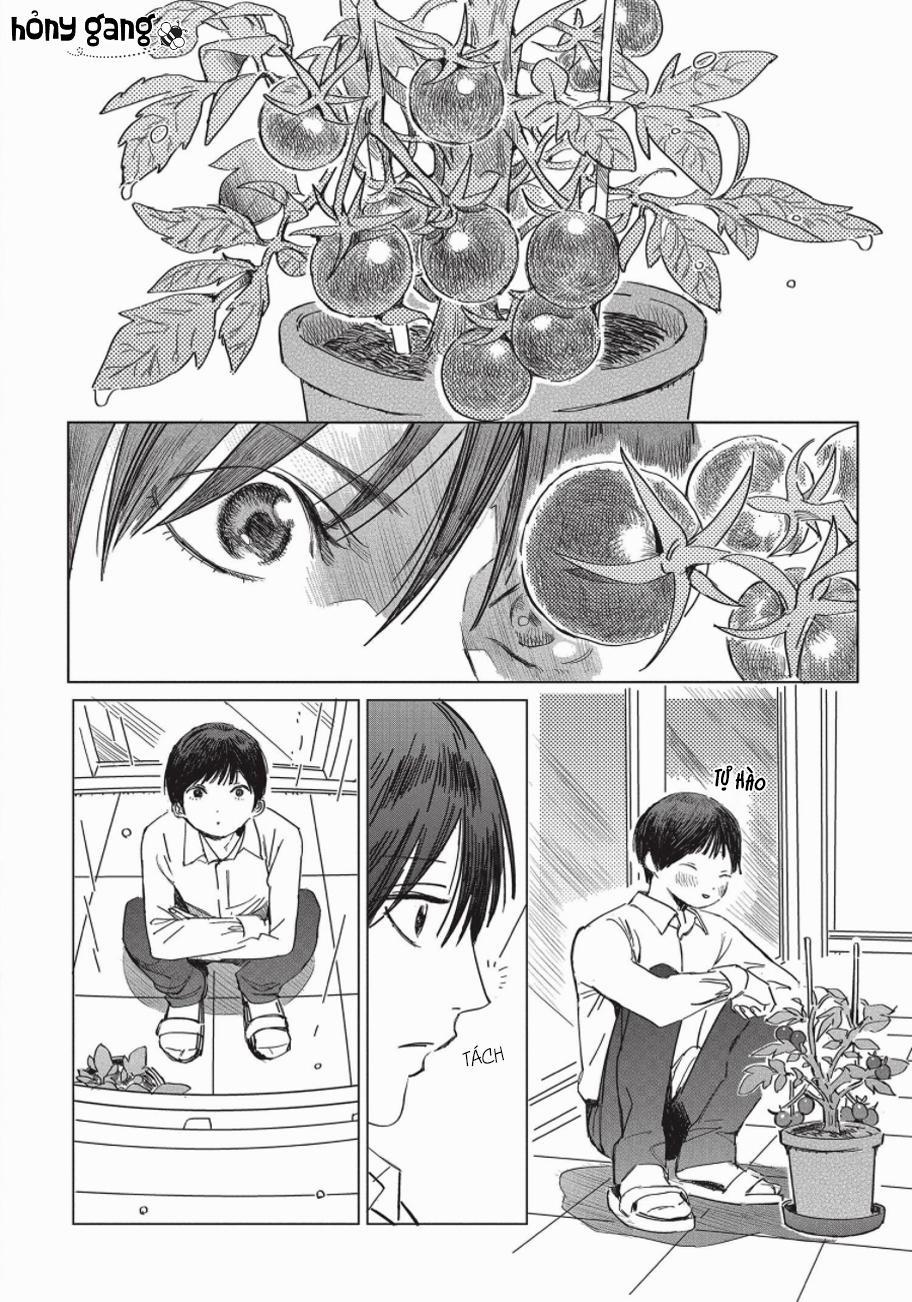 Nghĩa Vụ Của Tế Phẩm 3 trang 1