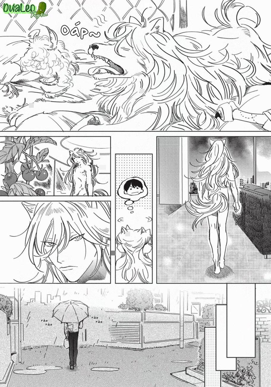 Nghĩa Vụ Của Tế Phẩm 3 trang 4