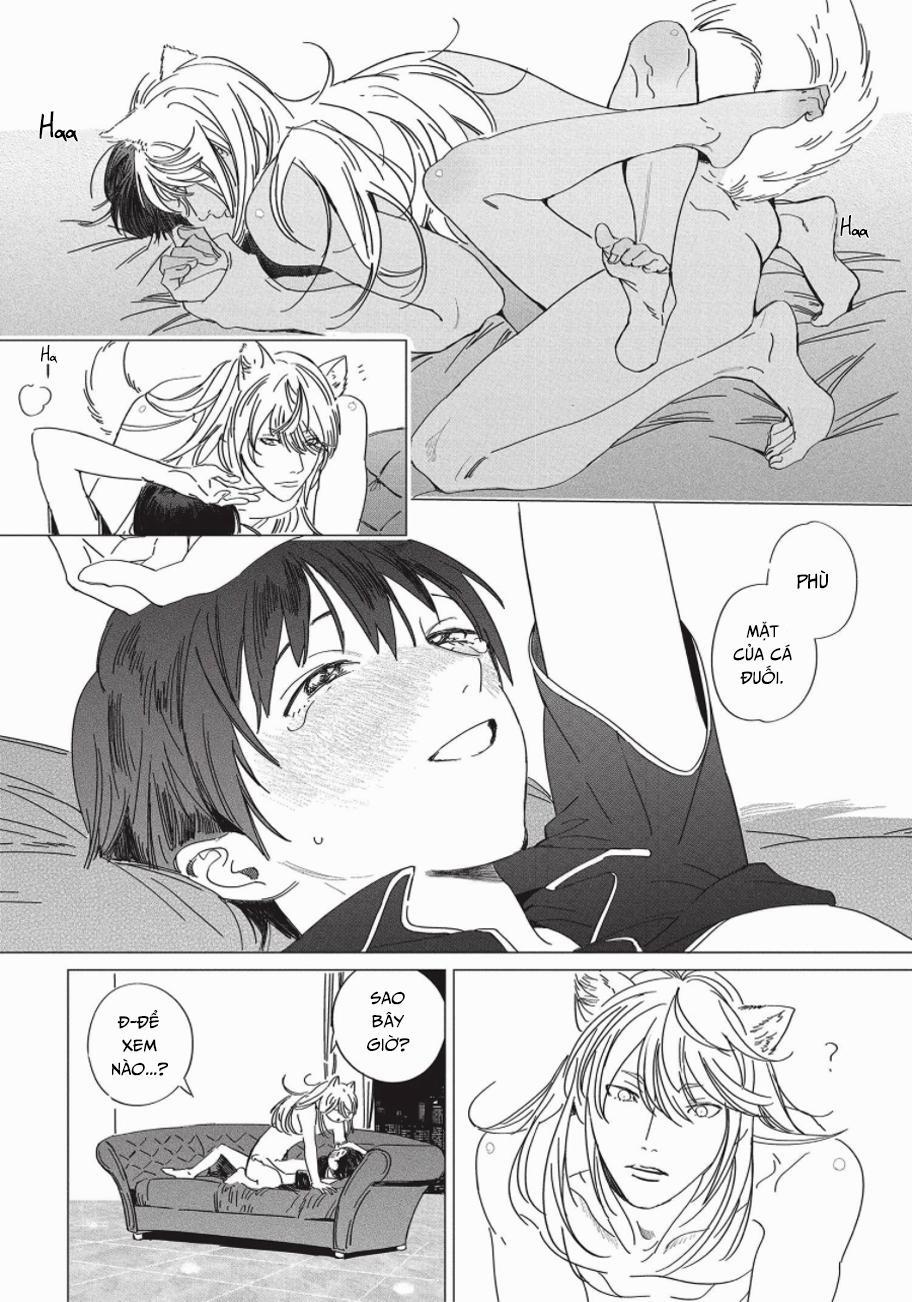 Nghĩa Vụ Của Tế Phẩm 4 trang 26